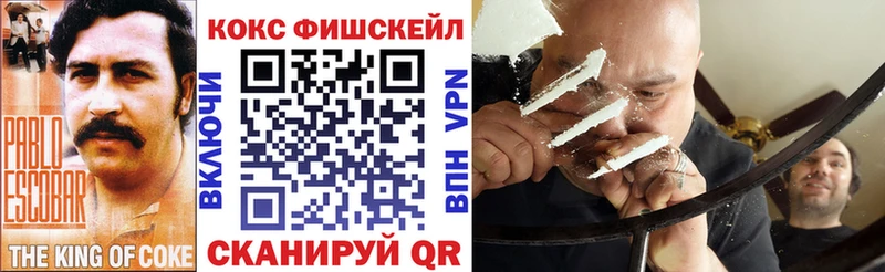 Cocaine Fish Scale  Купить  Алупка 