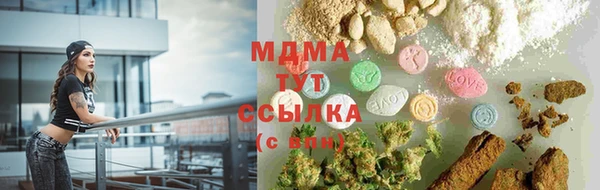 прущие грибы Богданович