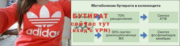 прущие грибы Богданович