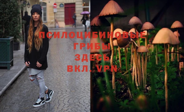 метадон Белокуриха