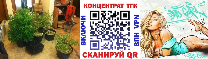 Купить где  Алупка  ТГК жижа 